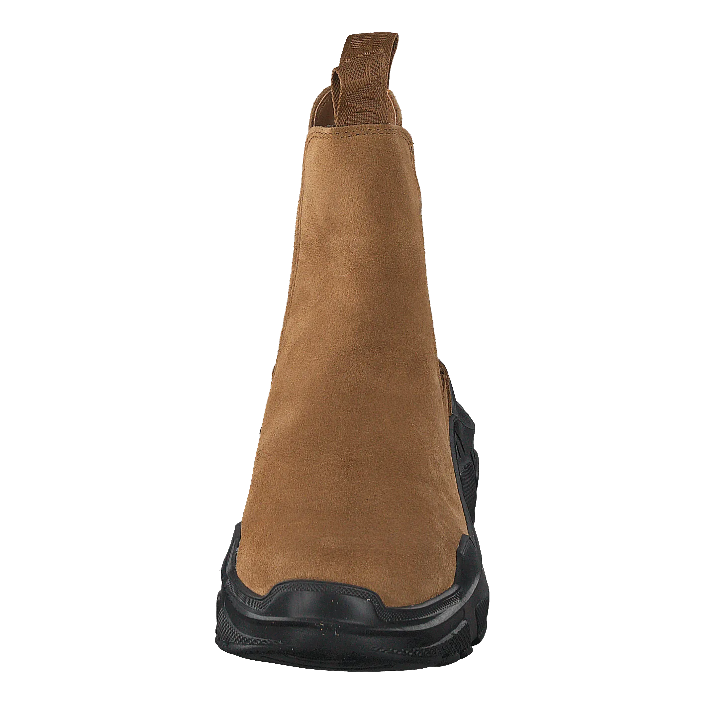 Evil Boot Camel