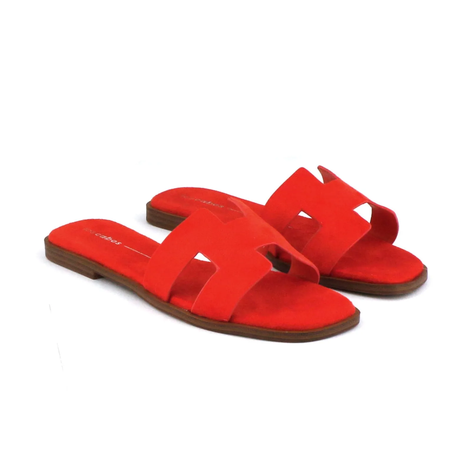 HACETTE SLIDES