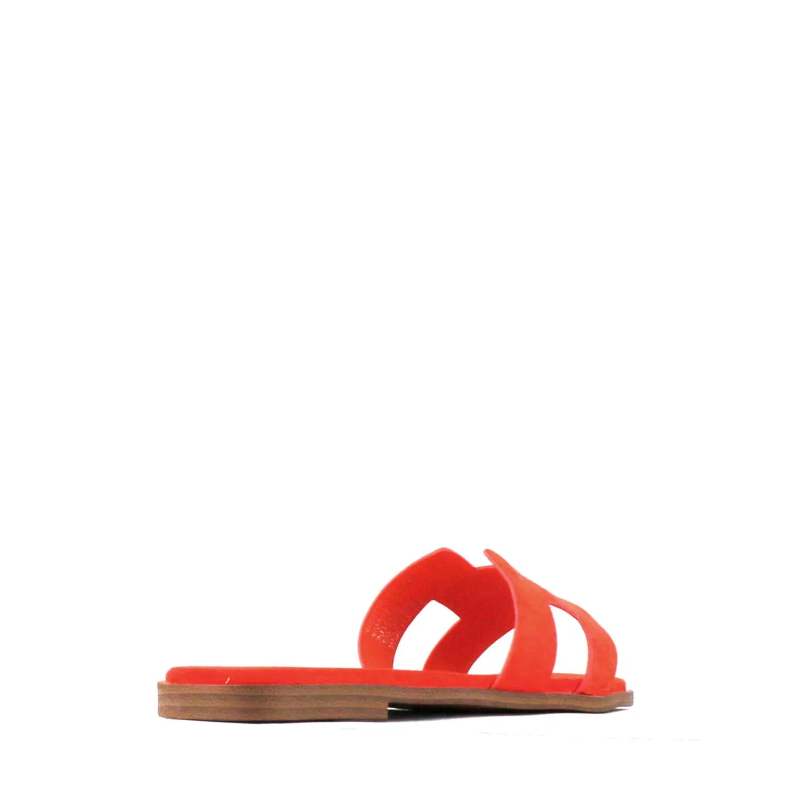 HACETTE SLIDES