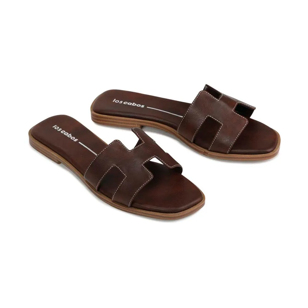 HACETTE SLIDES
