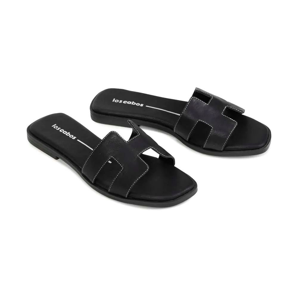 HACETTE SLIDES