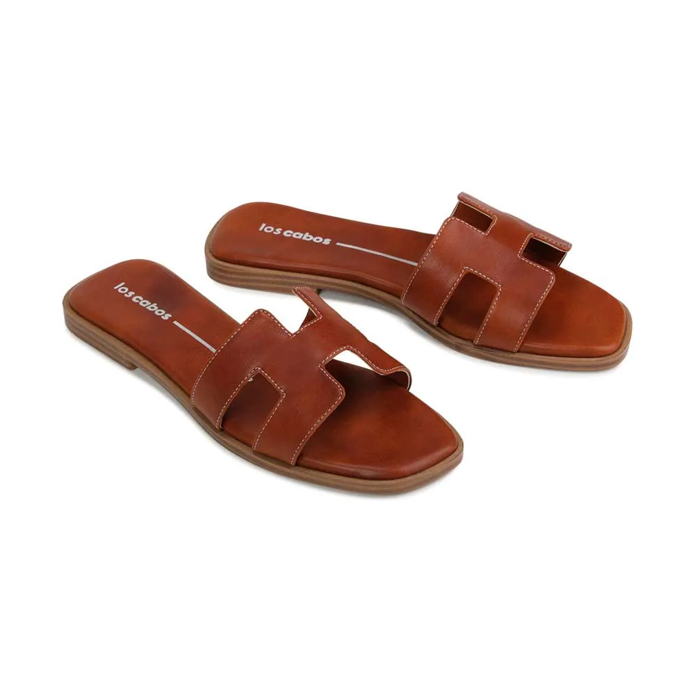 HACETTE SLIDES