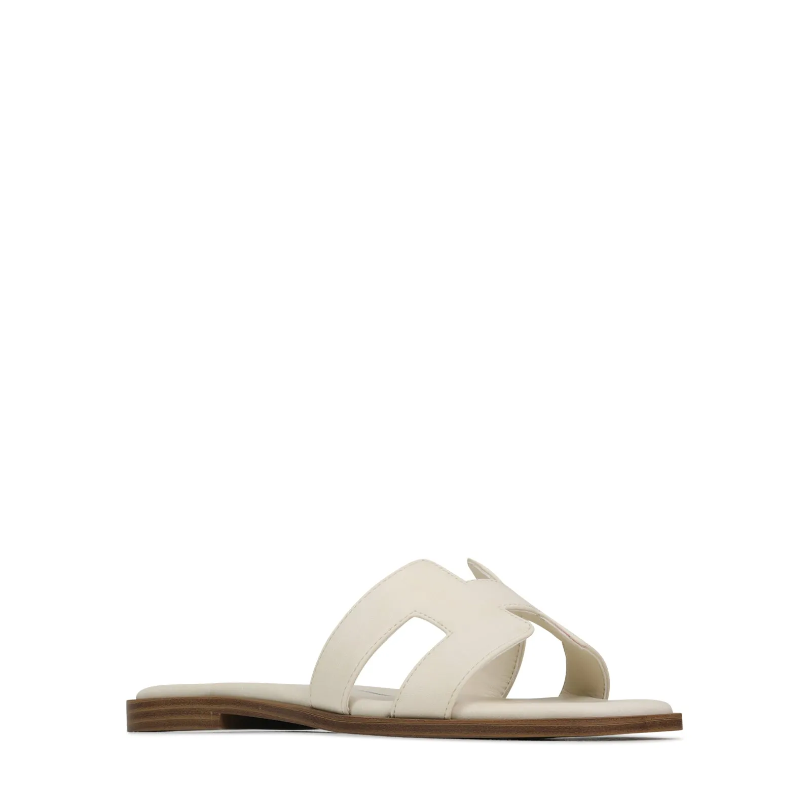 HACETTE SLIDES