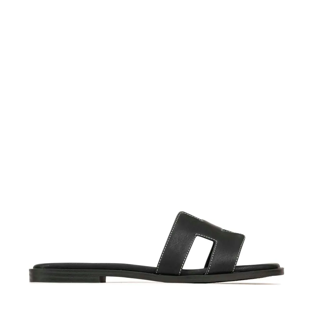HACETTE SLIDES