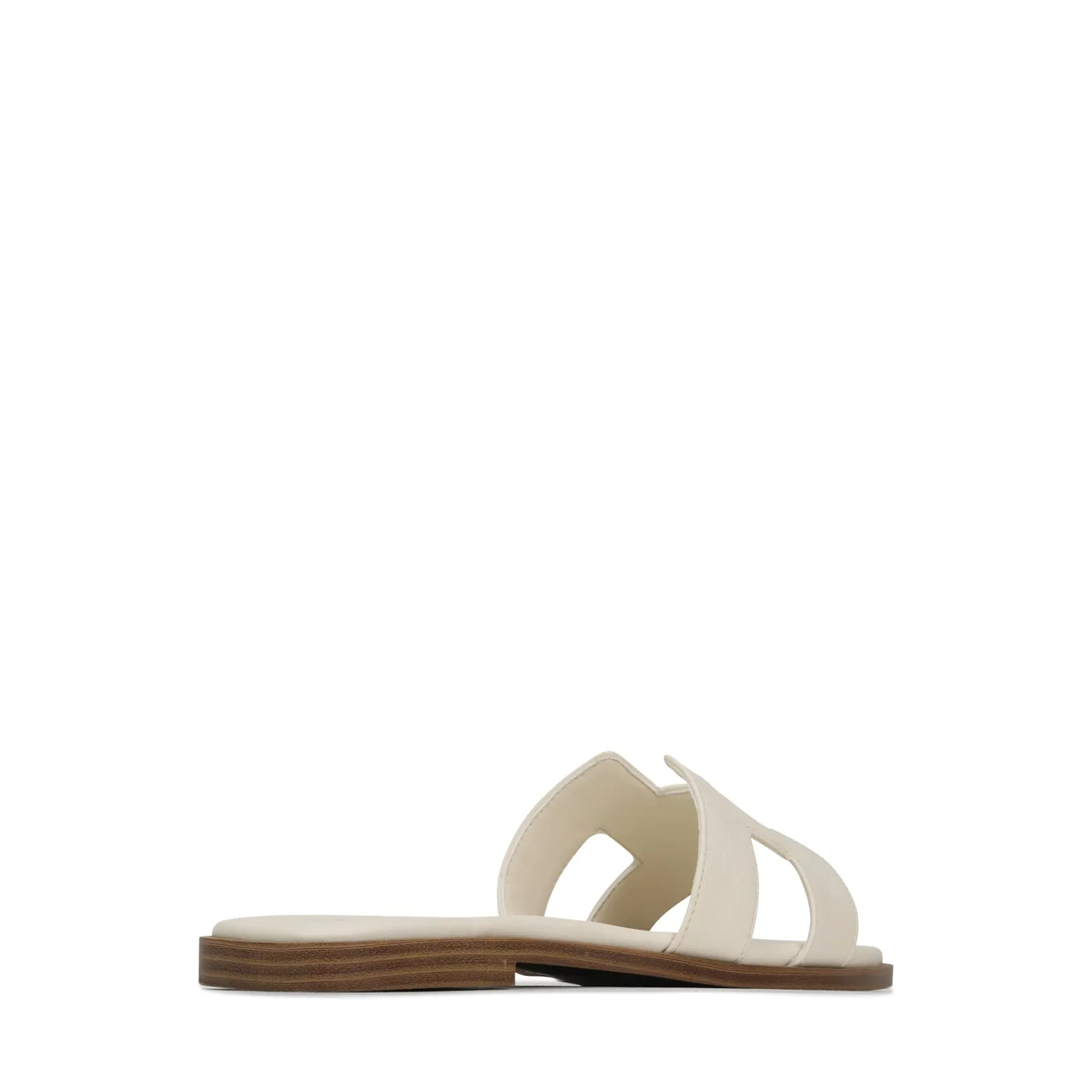 HACETTE SLIDES
