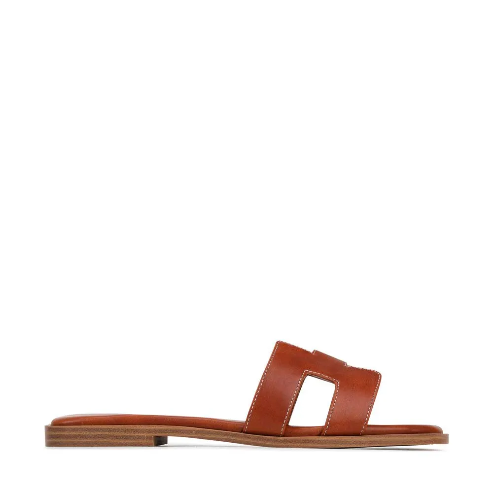 HACETTE SLIDES