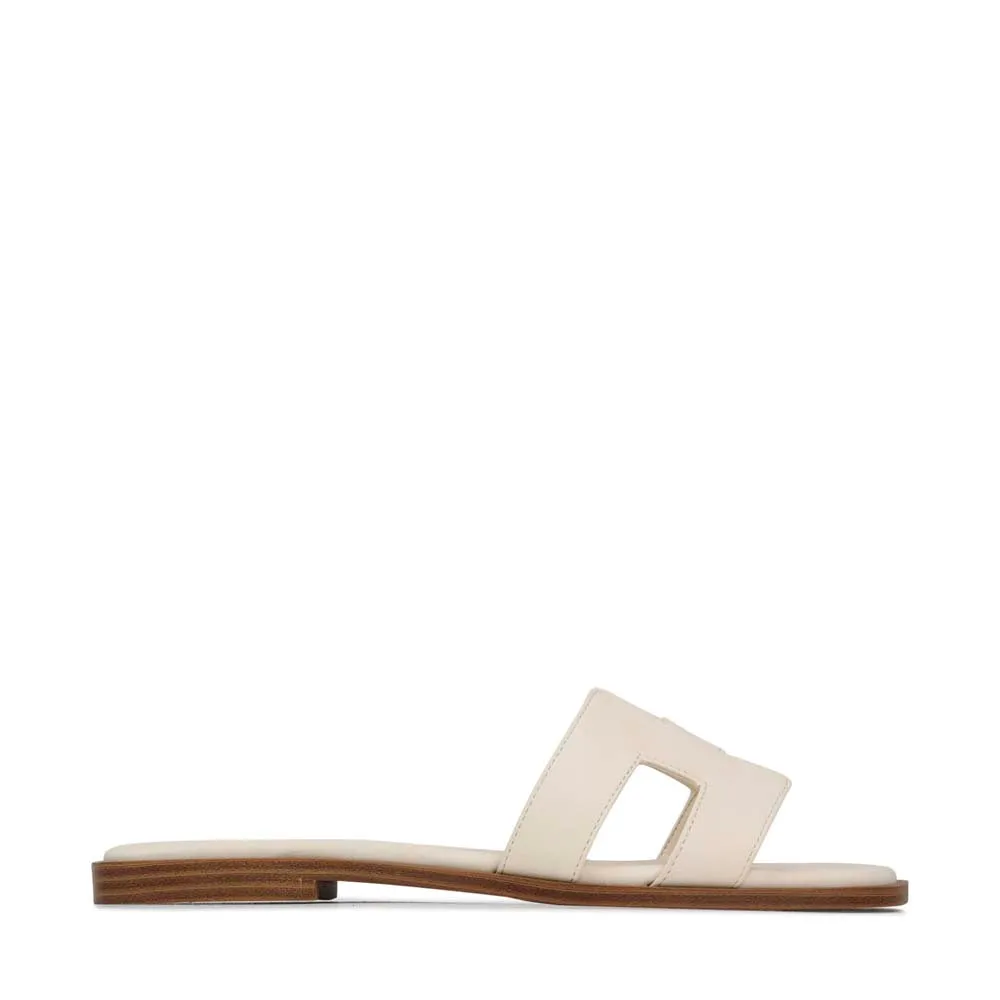 HACETTE SLIDES