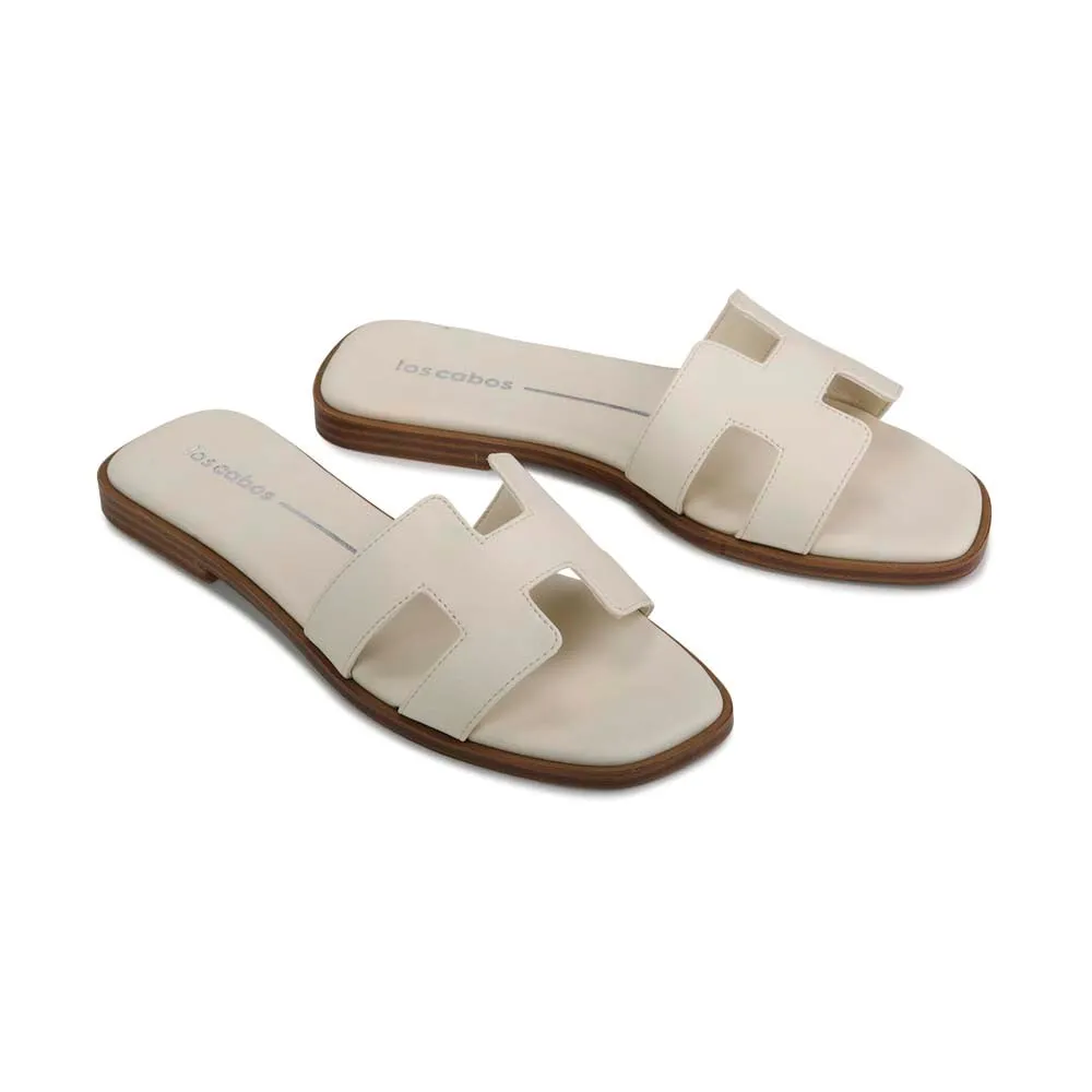 HACETTE SLIDES