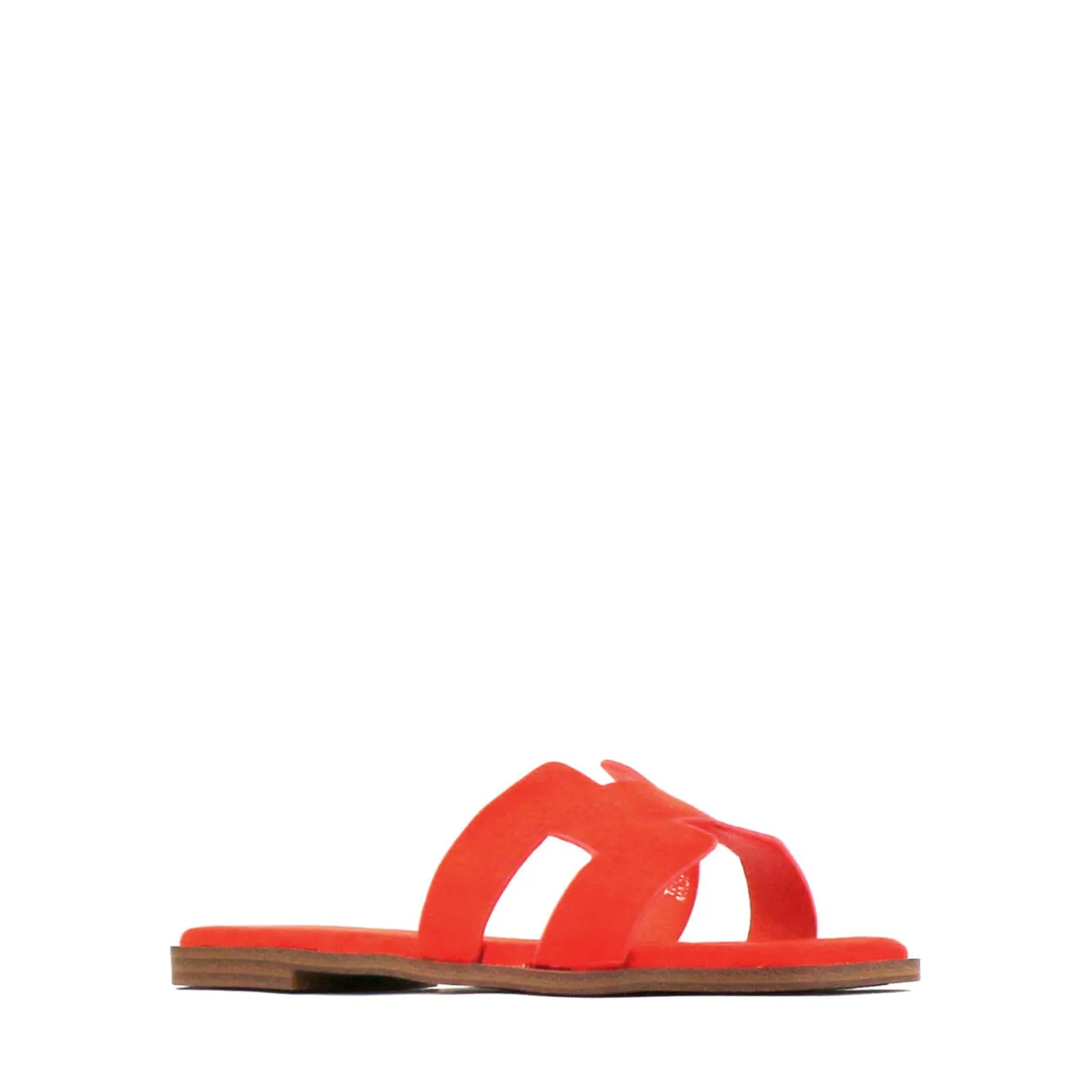 HACETTE SLIDES