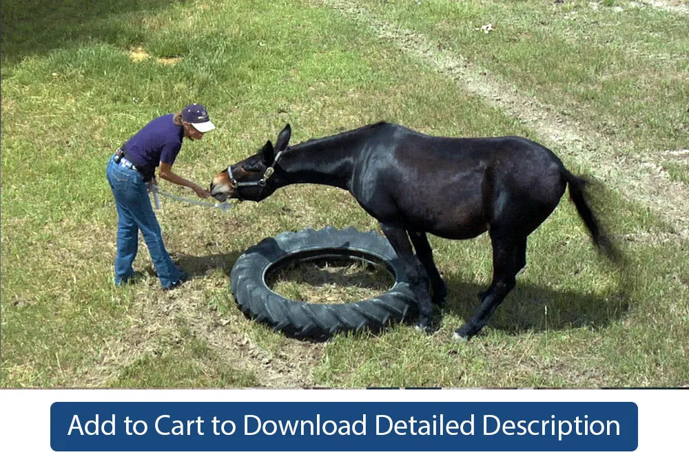 Training Tip - #013 Desensitization